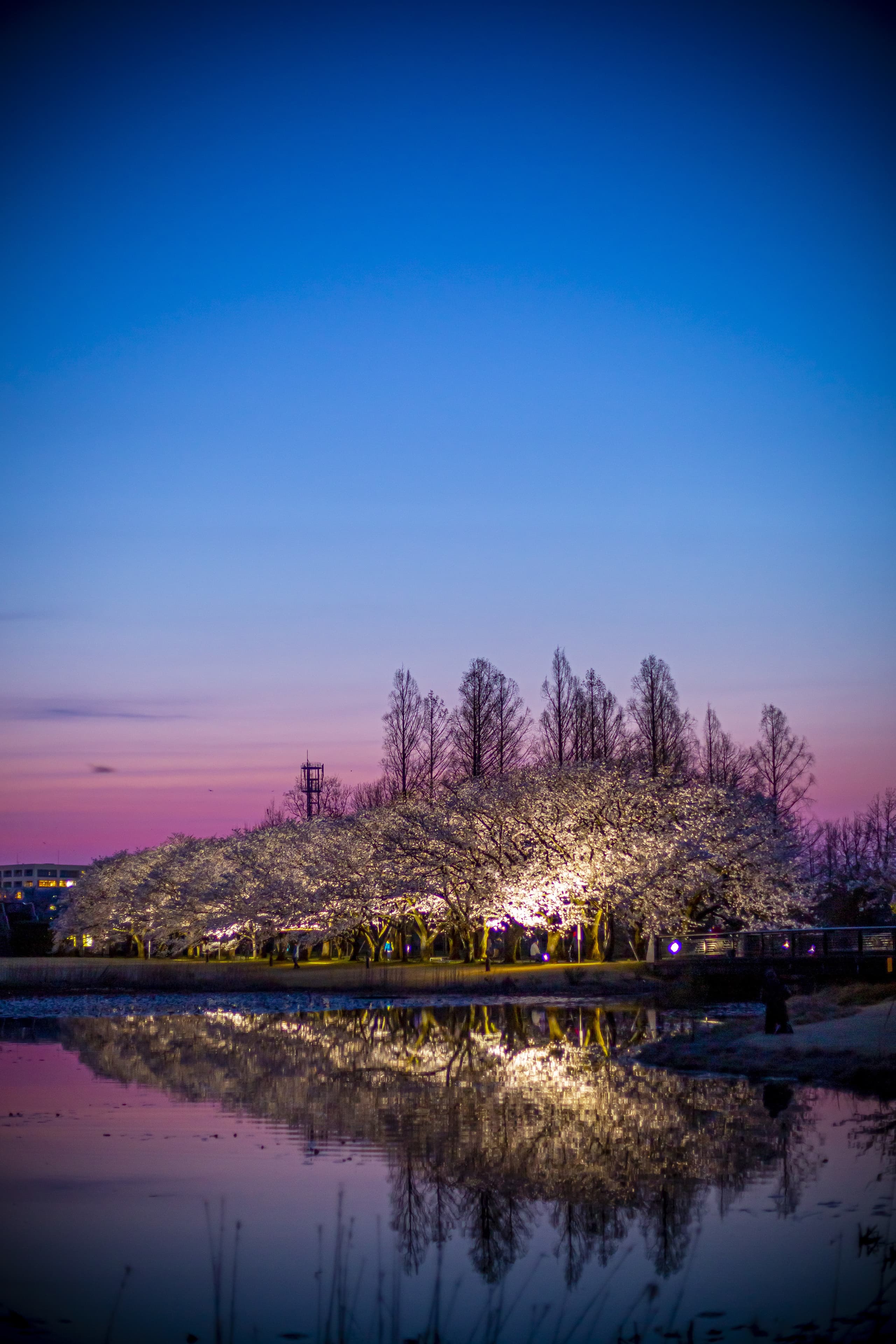 _a5d8872.jpg
